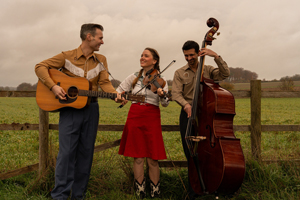 Rocking Horse Money image. The trio are stood in front of a green field with their string instruments.